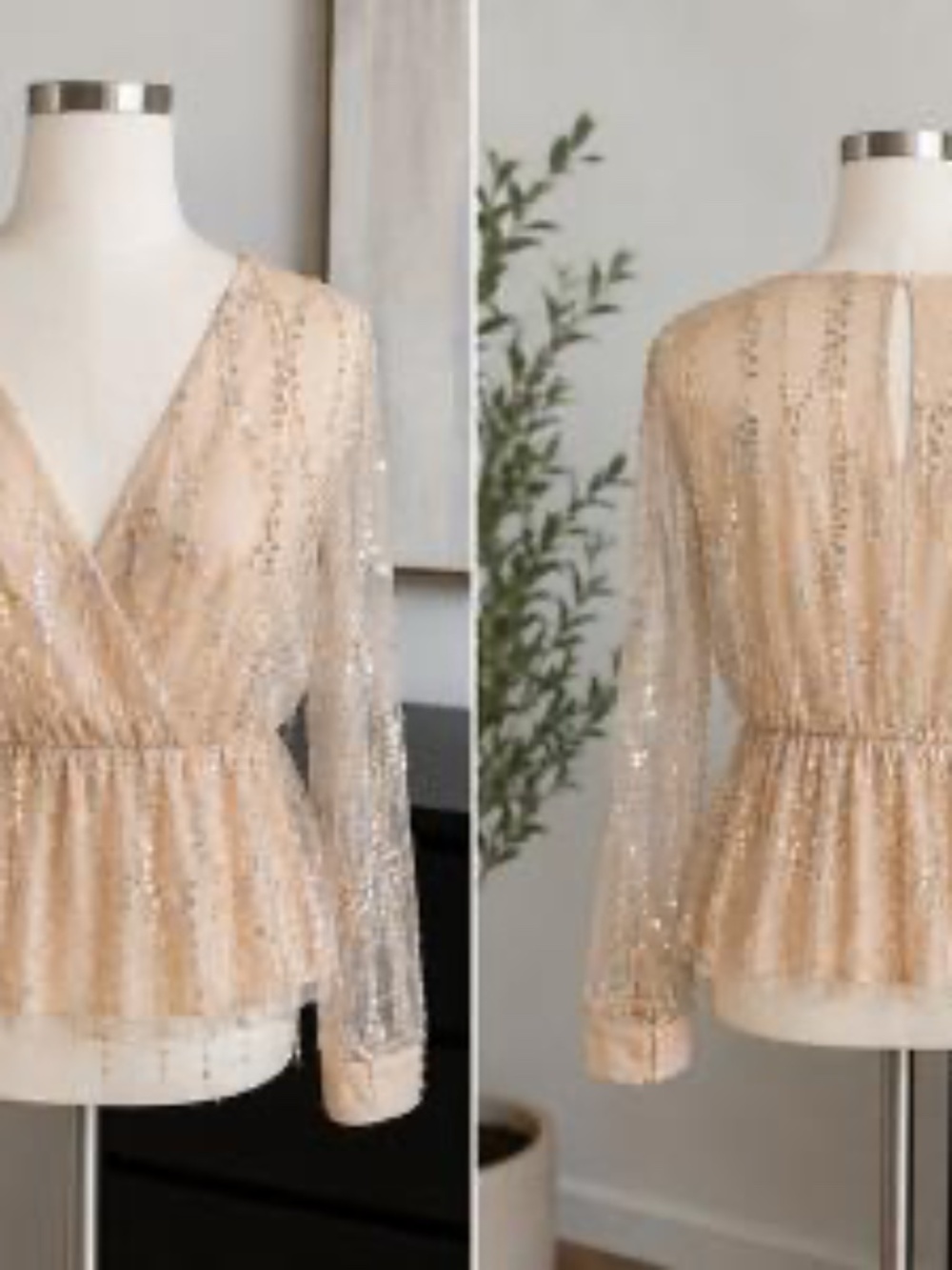 Sequin Sheer Mesh Long Sleeve Top - Nude/Champagne